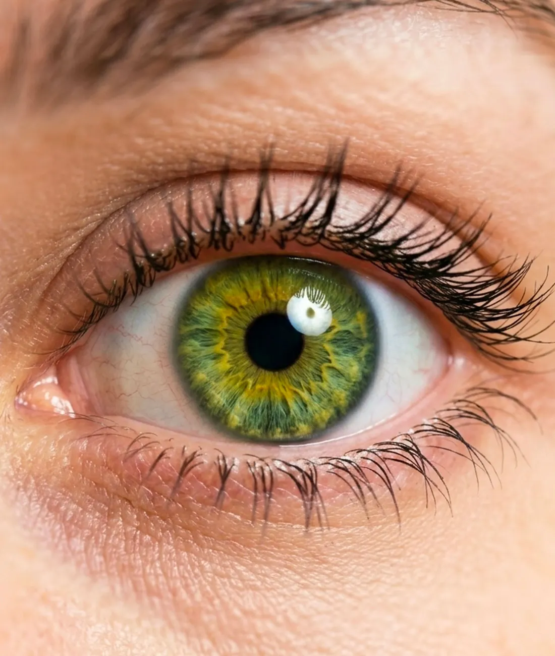 gros plan sur un oeil avec un regard rajeuni